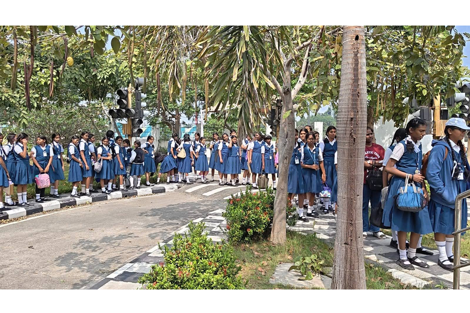 FIELD TRIP TO TRAFFIC PARK